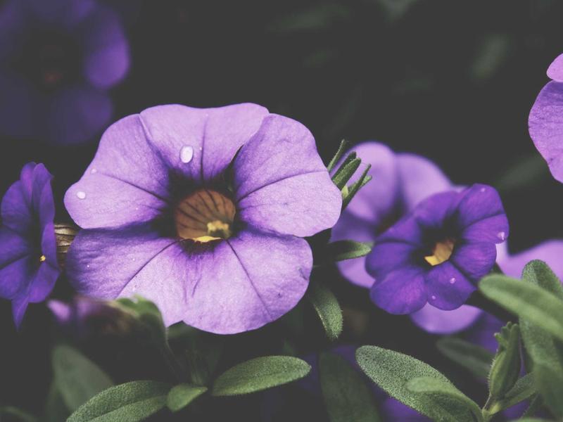 sudoku new features screenshot 3