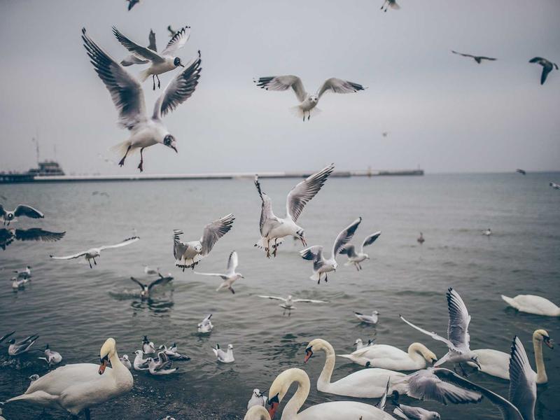 sudoku new features screenshot 6