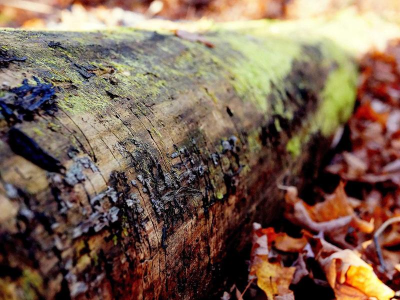 sudoku new features screenshot 4